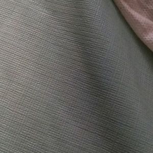 Meet your Posher, Laneisha